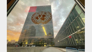 유엔 ‘러, 우크라 병합 불법’ 결의안 압도적 찬성 채택…北은 반대