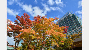 17일 출근길부터 다시 초겨울급 추위…일부 내륙 영하권