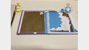 7억원대 코카인 밀반입 혐의…50대 한국인 시드니 공항서 체포