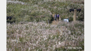 금요일 일교차 큰 ‘가을 날씨’…출근길 안개 주의