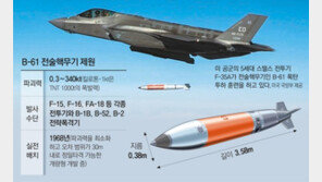 美 “北위협 맞서 확장억제 강화”… 전문가 “한반도 전술핵 재배치땐 B-61 유력”