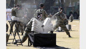 野 “국군의날 무술시범 대통령 눈요기”…軍 “사기 저하시키나”