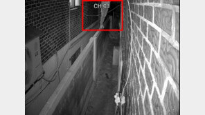“아이와 샤워 중 인기척…담벼락 남성, CCTV 꺾고 훔쳐봤다”