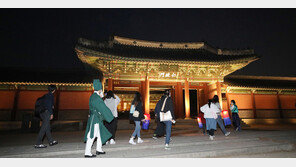 “멧돼지, 후원서 놀다 갔어요”…창덕궁 달빛기행 정상 진행