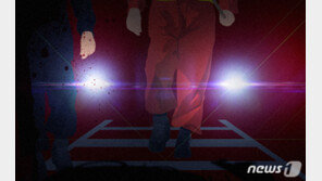 코레일 50대 직원, 열차에 부딪혀 사망…고용당국, 중대재해 조사