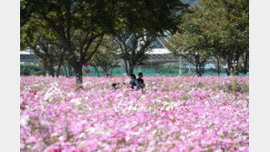 일요일, 전국 구름 많고 오전 짙은 안개…미세먼지 ‘나쁨’