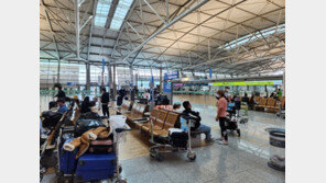 “미뤘던 신혼여행 일본으로”…日 무비자 입국·엔저에 주말 공항 ‘북적’