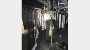 대통령실 “네트워크망 교란, 국가 안보에도 치명적”