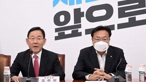 與, 카카오 겨냥해 ‘데이터센터법’ 등 규제 법안 연쇄 추진