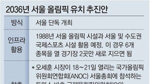 서울시, 2036년 여름올림픽 단독 개최 추진 