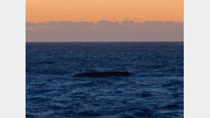 제주 마라도 해상서 4명 탑승 추정 어선 전복…해경 수색중