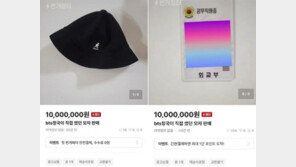 “BTS 정국이 외교부에 두고간 모자…1000만원에 판매” 글 논란