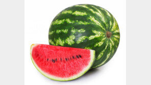 “다시는 수박을 먼저 먹지 않겠습니다” 복창시킨 소방서장, 직위해제