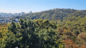 북한산에 ‘울긋불긋’ 첫 단풍…지난해보다 이틀 빨라