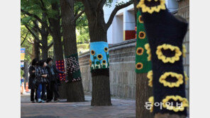 서울 첫 서리, 춘천선 첫 얼음… 내일 아침은 더 춥다