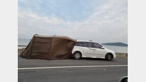 “보령 해저터널 개통 후 갓길 ‘차박족’ 때문에 고통”