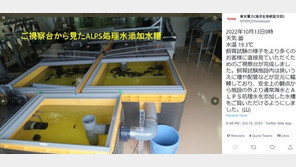 도쿄전력, 오염수서 키운 광어 홍보…전문가 “방사성 물질 측정 가능성”