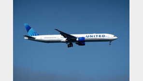 비행기 비즈니스석에 뱀이 ‘꿈틀꿈틀’…승객들 혼비백산