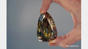 세계에서 가장 거대한 ‘무결점’ 다이아…최소 210억원 추정