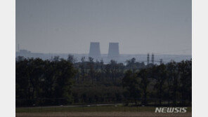 러시아 “우크라, 자포리자 원전 탈환 시도…격퇴”