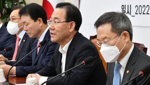 與 “영장집행 방해는 ‘더불어부패옹호당’ 증명하는 것” 