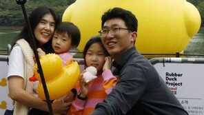 8년 만에 돌아온 석촌호수 러버덕 “추억안고 더 많이 찾는다”