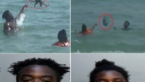 바다에서 새끼 고양이로 공놀이 한 흑인 커플 “막고 싶으면 돈내라”