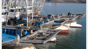 “꽃게철인데 北 포탄 쏴대니”…연평도 어민들 죽을 맛 호소