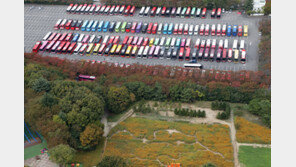 주말, 평년 기온 회복…서울·경기 미세먼지 주의