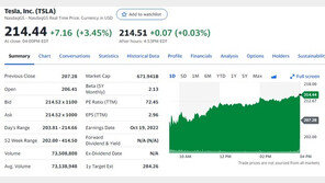테슬라 3.45%-루시드 5.63%, 전기차 일제 급등