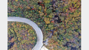 ‘단풍 절정’ 설악산에 2만2000여명…강원 명산, 관광지 나들이객 인산인해