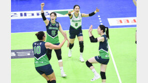 ‘디펜딩 챔피언’의 힘…현대건설·대한항공 개막전서 나란히 쾌승