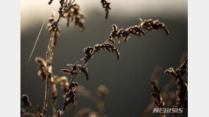 일요일, 전국 구름 많고 강원·경북 빗방울…낮 최고 22도 평년 기온