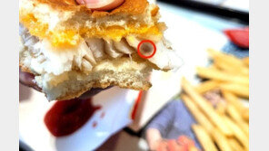 맥도날드, 버거 기생충 조사 나서…“고래회충 추정”