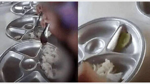 급식비리 유치원장에 385년형…“아이들 ○○○만 먹였다” 경악