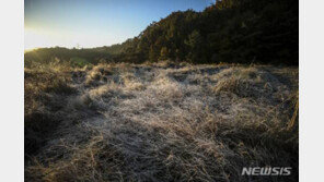 상강 지나고 기온 뚝↓…내주 기온 평년보다 5도 낮아