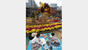 “조계사 앞마당서 가을풍경 그려요”