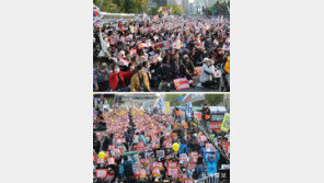 “이재명 구속” vs “윤석열 퇴진”… 둘로 갈린 세종대로 