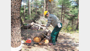 “소나무재선충병 확산 조기 차단” 산림청, 지자체와 방제 강화
