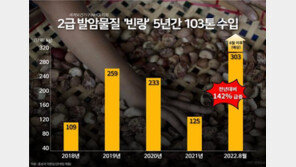 중국서 금지된 발암물질 열매 ‘빈랑’…국내 5년간 103톤 수입