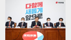 정진석 “민주, 시정연설 보이콧은 국민 협박…특검, 물타기 꼼수”