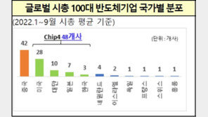 세계 100대 반도체 기업 중 한국 3곳뿐…시총 순위-수익성도 뒷걸음
