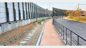 쓰레기 뒹굴던 흙길이 시민 산책길로 변신