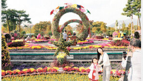 유엔평화공원 국화전시회