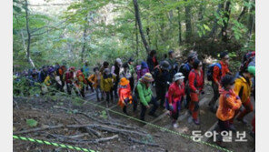 국립공원 흡연 첫 적발 시 60만 원…6배 오른다