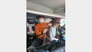 점심시간 중학교 운동장에 들개 출몰…학생들 ‘화들짝’