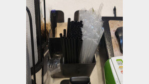 “나무젓가락 대신 쇠젓가락 줘야 하나”…일회용품 규제 확대에 ‘볼멘소리’