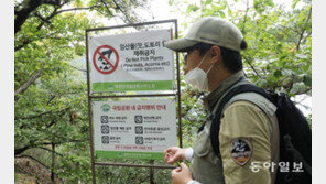 국립공원서 담배 피우면 ‘과태료 최대 200만원’