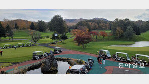 엔저로 가까워진 日관광… 단풍숲-호수 벗삼아 나이스샷! 