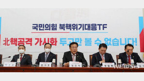 與, 북핵대응특위 첫 회의…“핵 공유·재배치·개발 논의”